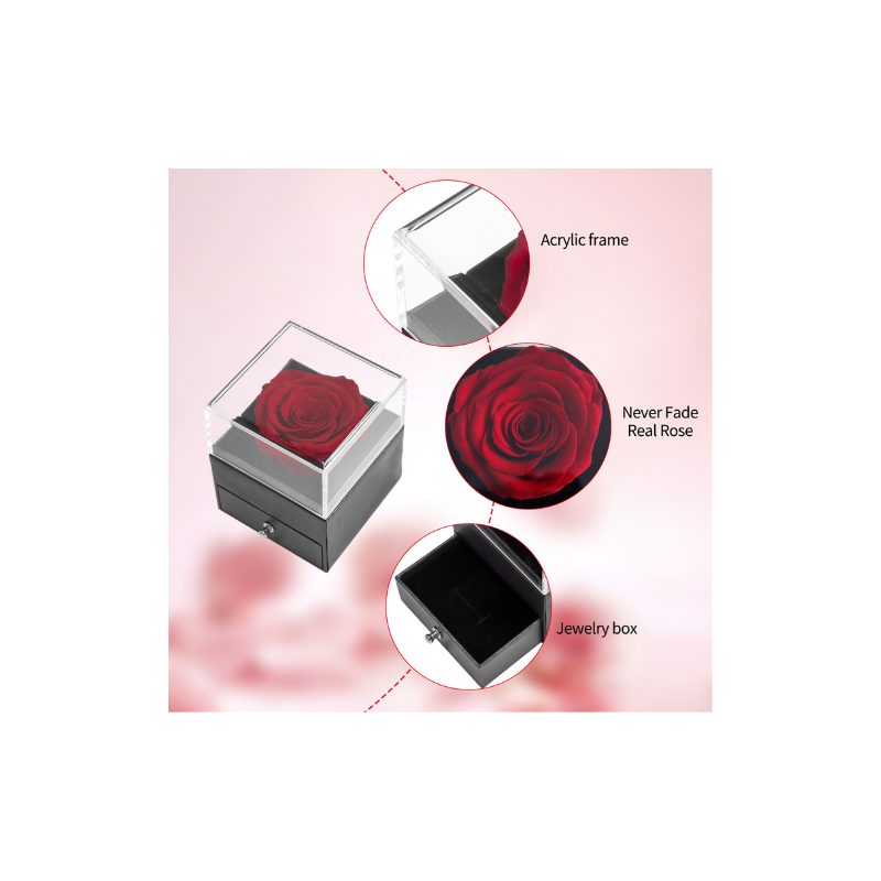 Preserved Rose & Gift Box - Red
