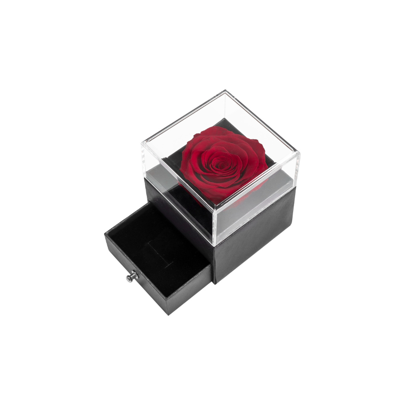 Preserved Rose & Gift Box - Red
