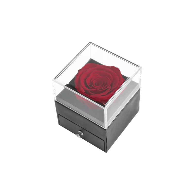 Preserved Rose & Gift Box - Red