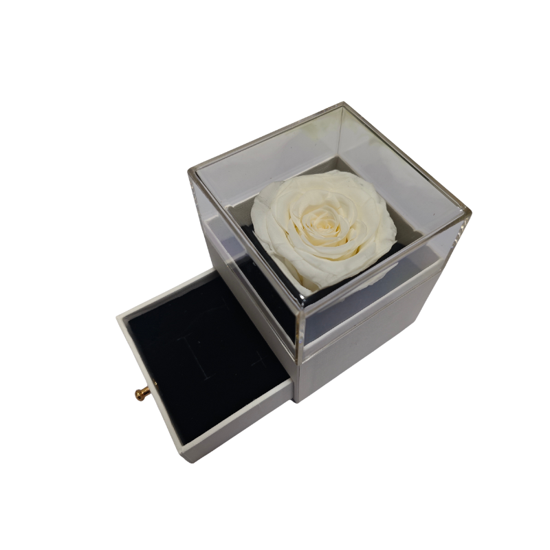Preserved Rose & Gift Box - White