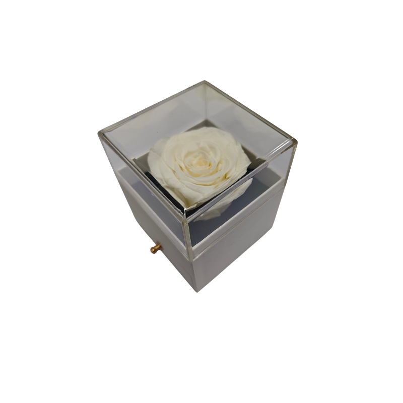 Preserved Rose & Gift Box - White