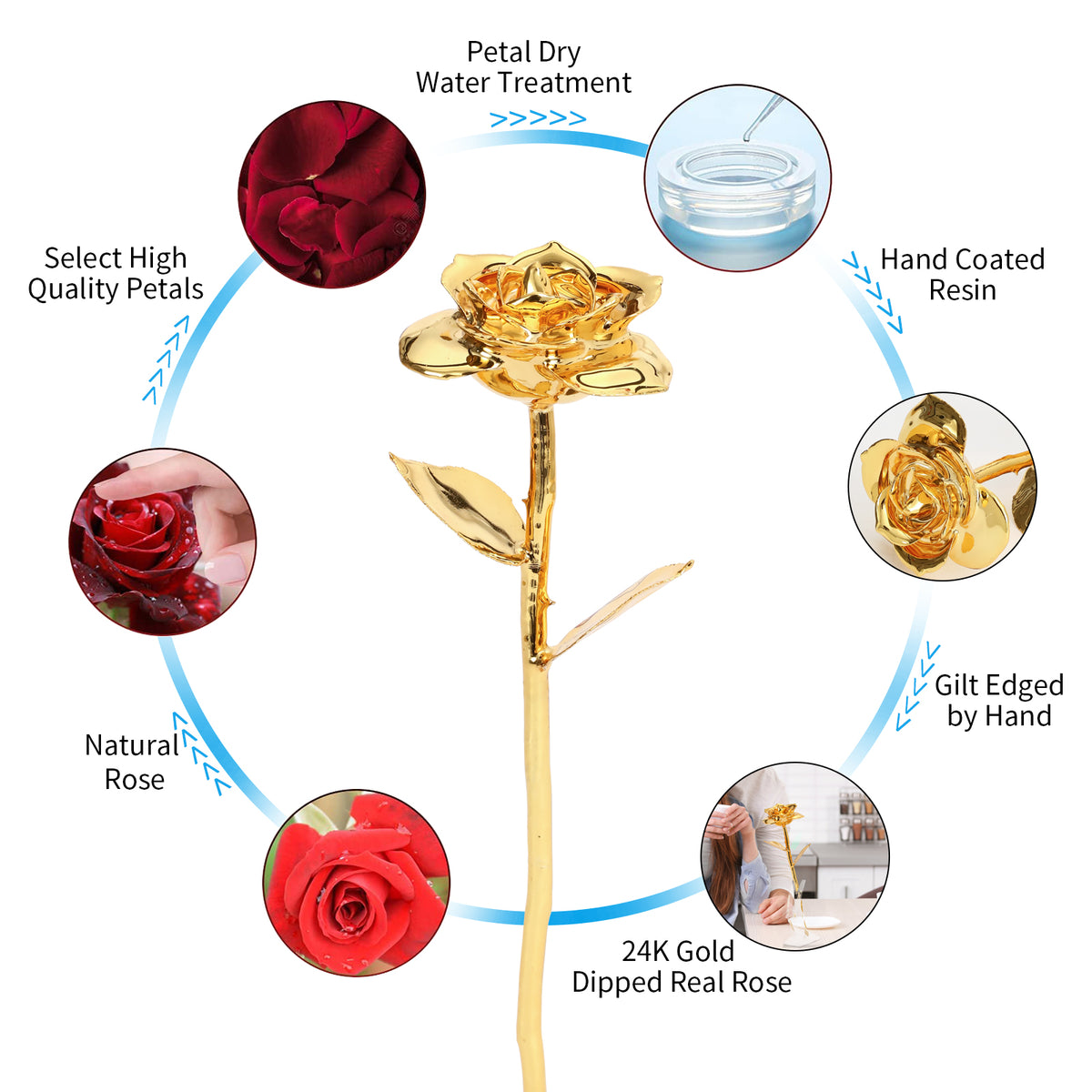 24k Gold Dipped Preserved Rose